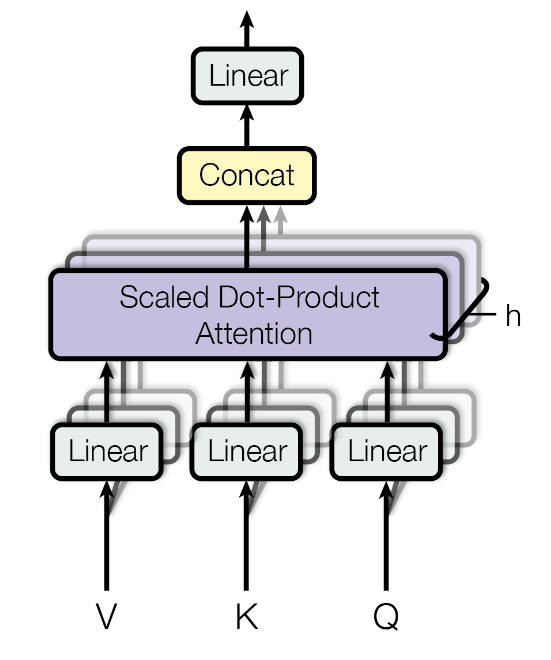 multi-head
